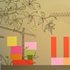 Color Blocks