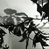 Structural Interaction