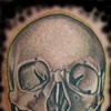 skull