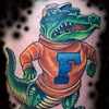 florida alligator