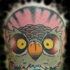 owl
