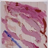 Untitled (12-69)