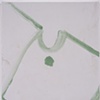 Untitled 12-88