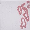Untitled 12-111