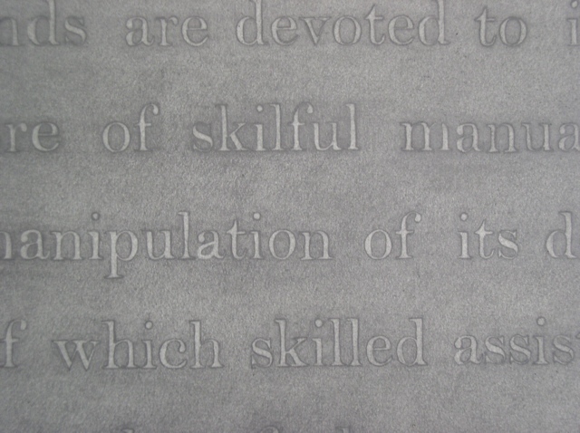 graphite drawing text by Molly Springfield