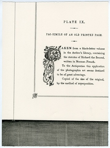 Plate IX