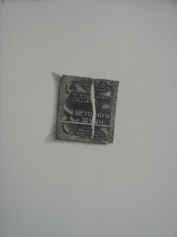 graphite drawing by Molly Springfield