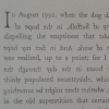 The Rings of Saturn (Boustrophedon) detail