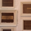 Calotypes