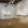 Translation (Installation at Thomas Robertello Gallery)
