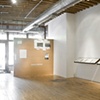 Translation (Installation at Thomas Robertello Gallery)