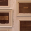 Calotypes
