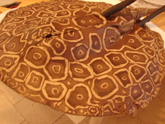 Sting Ray