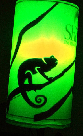 Lizard Lantern