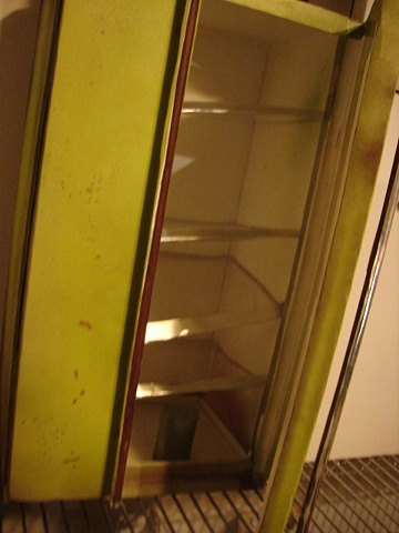 Interior on Avocado Fridge