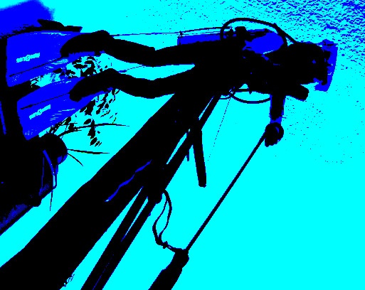 Diver