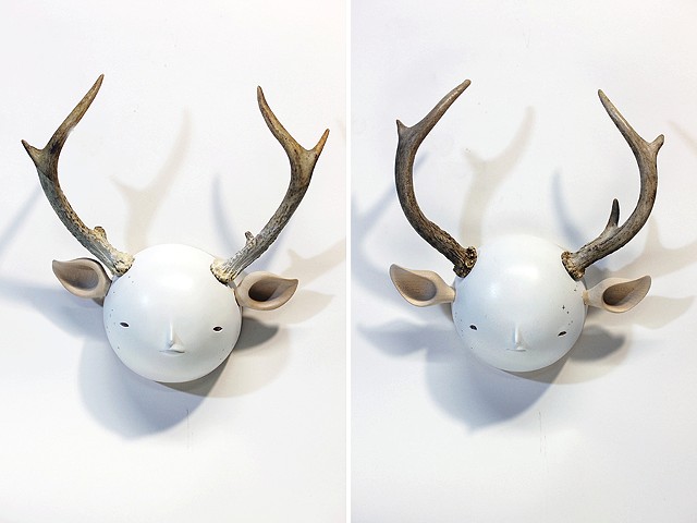taxiderme 03 + 04