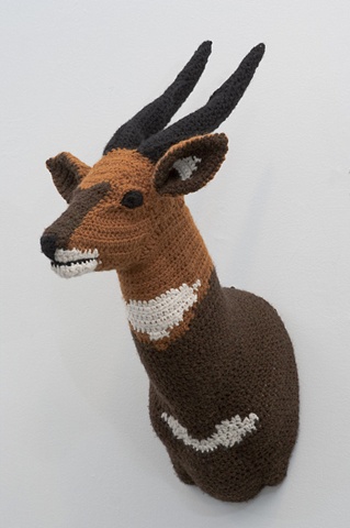 Bushbuck