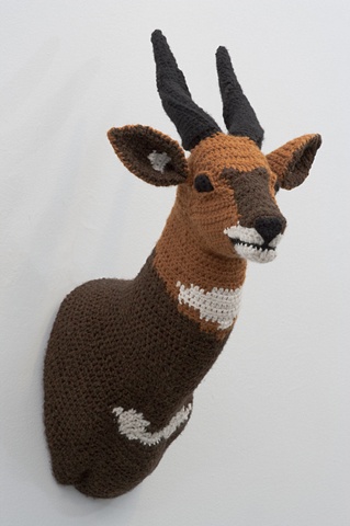 Bushbuck