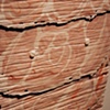 BODY TRIM DETAIL