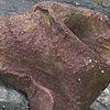 Returned, Central Park (two)