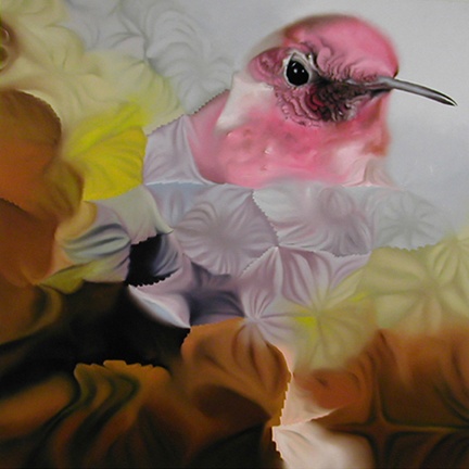 Anna's Hummingbird