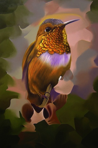 Rufous
