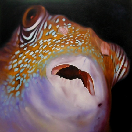 Spotted Pufferfish