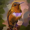 Rufous