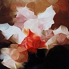 Blossom