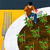 Plant 2 Plate