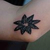 Anise Seed Tattoo