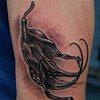Devil Claw Tattoo