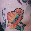 Poppy Flower Tattoo