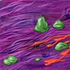 Orange slime