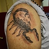 Scorpion Tattoo