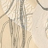 drawings