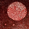 reclaiming the circle
