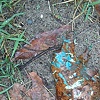 camoflauge