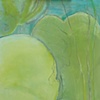 considering lilies #5