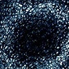 T3D 493