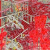  Untitled (39)