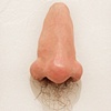 Portrait of the Artist's Nose in 50 years