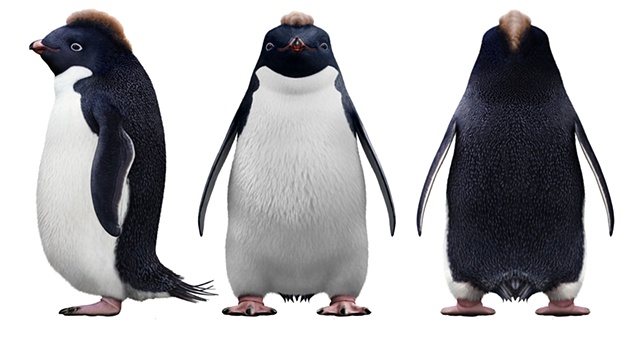 Philip Whiteley 3d 2d artist illustrator CV - happy feet ramon cb