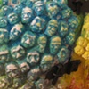 Teeny faces mask close up 