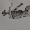 Cut-out Figure 1