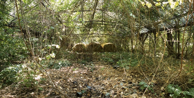 Hay Bales in Abandoned Greenhouses, Berlin, Ohio