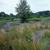 Parking Lot, Mountain Park Amusement Park, Holyoke, MA
