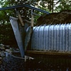 Washed Out Bridge, Derry CT