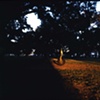 City Park, Lakeview Neighborhood